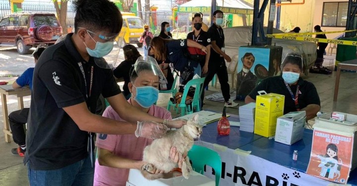 QC Intensifies Anti Rabies Campaign With 5 Day Free Vaccination