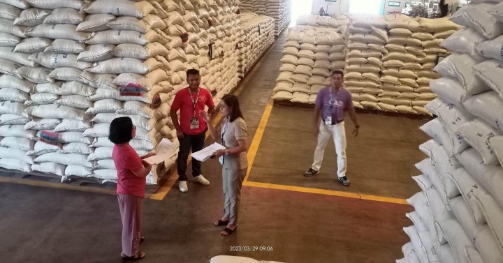 NFA Ilocos Norte Starts Buying Palay At P19 Kg Philippine News Agency