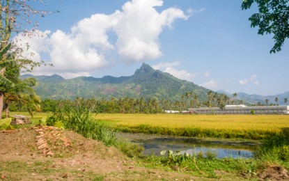 <p>SOUTHERN PALAWAN. Chinese investors are encouraging the provincial government of Palawan to look into the possibility of building an international airport in the southern part of the province after expressing interest to farm herbs and spices there. File photo shows the rich agricultural land of Brooke's Point. <em>(Photo by Celeste Anna R. Formoso)</em></p>