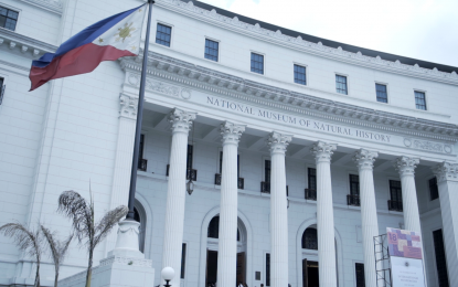 PH’s Natural History Museum: A marriage of heritage, modern design ...