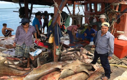 <p><strong>SEIZED.</strong> Some of the Vietnamese can be seen standing on the heap of sharks and manta rays that were seized from their possession by the Philippine Navy. The photo was taken at the Tidepole in Parola on Tuesday (May 22, 2018). <em>(Photo by Celeste Anna R. Formoso)</em></p>