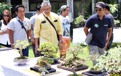 <p><strong>BONSAI ART AND SUISEKI STONE SHOW:</strong> Palawan Vice Governor Dennis Socrates (3rd from left, in yellow long sleeve polo) views some of the Bonsai trees that were put on display at the Provincial Capitol as part of the annual Baragatan sa Palawan festival. The exhibit opened Friday afternoon. (<em>Photo by Palawan PIO)</em></p>