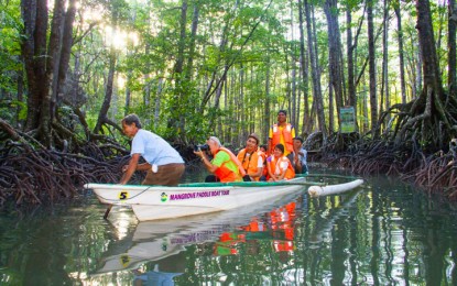 <p><strong>MANGROVE PADDLE BOAT TOUR CBST PROJECT:</strong> The mangrove paddle boat tour in Sitio Sabang, Barangay Cabayugan, Puerto Princesa City. <em>(File photo by Celeste Anna R. Formoso)</em></p>