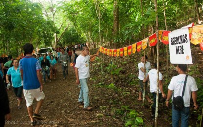 <p><strong>'PISTA Y ANG KAGUEBAN</strong>': This year's 27th 'Pista Y Ang Kagueban' will celebrate the  mass planting of trees in Barangay Montible, Puerto Princesa City. The barangay is known as a habitat of the critically endangered Philippine Cockatoo (katala). <em>(File photo by City Information Office)</em></p>