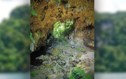 <p><strong>POSSIBLE TOURISTS SITE.</strong> Sangaran Ark Cave in Barangay Isugod, Quezon, southern Palawan, is being proposed as a tourism destination by 2nd Palawan District House Rep. Frederick Abueg under House Bill 5333. <em>(Photo courtesy of <a id="js_6bm" class="_hli" href="https://www.facebook.com/Fmadrinanphotogallery-1565930817010822/" data-ft="{"tn":"k"}" data-hovercard="/ajax/hovercard/page.php?id=1565930817010822" data-hovercard-prefer-more-content-show="1">Fmadrinan.photo.gallery</a>)</em></p>