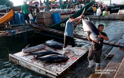 <p>Workers unload their tuna catch at the General Santos City Fish Port Complex. (<em>PNA file photo by Edwin G. Espejo)</em></p>