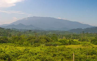 <p style="text-align: left;"><strong>ANCESTRAL DOMAIN.</strong> Mt. Mantalingahan Ransang, which  is part of an ancestral domain but is not being co-managed by the tribal dwellers, says Indigenous Peoples Mandatory Representative Joel Lumis. <em>(File photo courtesy of Alastair Robinson, July 2007).</em></p>