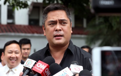 <p>Communications Secretary Martin Andanar</p>