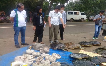 <p><strong>ILLEGAL WILDLIFE MEAT TRADE.</strong> Provincial Environment and Natural Resources Officer Felizardo Cayatoc (1st from left) of the DENR-Palawan views the dead endangered pangolin and sea turtles that were confiscated from a truck driver on Saturday morning at a checkpoint in Barangay Sta. Lourdes, Puerto Princesa City. <em>(Photo by GRJ) </em></p>