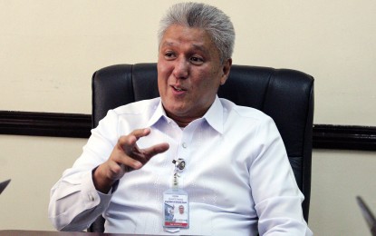 <p>DND spokesperson Arsenio Andolong. <em>(File photo)</em></p>