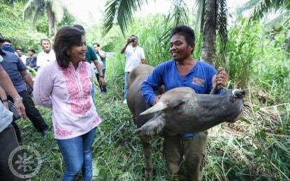<p><strong>BOOST IN CHEESE PRODUCTION.</strong> Vice President Leni Robredo talks to one of the carabao dispersal beneficiaries during her visit in Gandara, Samar. <em>(Photo from the Office of the Vice President)  </em></p>