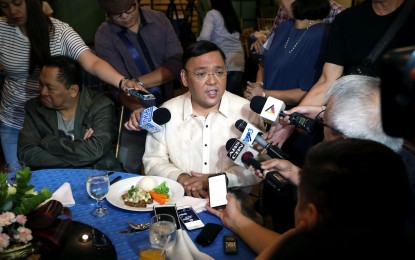 <p>Senatorial candidate Harry Roque<em> (File photo)</em></p>