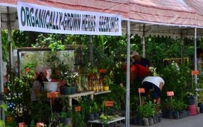 <p>Organic herbs and seedlings sold in last year’s Negros organic farmers festival in Bacolod City.<em> (File photo from Negros Occidental Capitol PIO)</em></p>