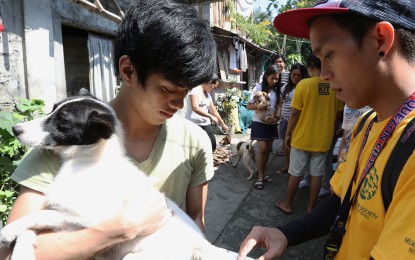 <p><strong>DOG VACCINATION</strong>. The Humane Society International's (HSI) Street Dog Defenders veterinarians visit every household on Bulacan Street in Payatas, Quezon City during a mass dog vaccination to mark 'World Rabies Day' on Monday (Sept. 24, 2018). <em>(PNA photo by Oliver Marquez)</em></p>