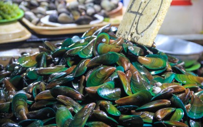 <p>Shellfish<em> (File photo)</em></p>