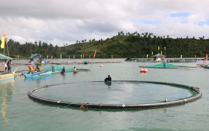 <p>Some of submersible fish cages set up in Basey, Samar. <em>(Photo courtesy of Bureau of Fisheries and Aquatic Resources)</em></p>