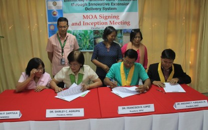 4 north Luzon SUCs join hands to hike glutinous corn production