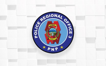 C. Luzon cops net 20 wanted persons on Nov. 1-2