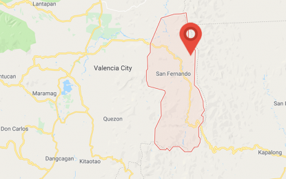 <p>Map of San Fernando, Bukidnon</p>