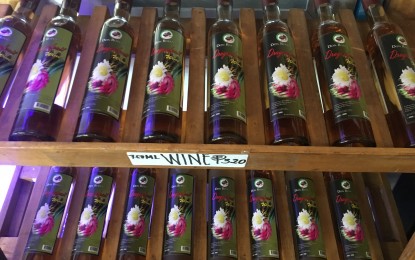 <p><strong>DRAGON FRUIT WINE.</strong> Refmad Farms in Burgos, Ilocos Norte, the largest dragon fruit plantation in Region 1, unveils its latest wine products from dragon fruits on Saturday (Nov. 10, 2018).<em> (Photo by Leilanie G. Adriano)</em></p>