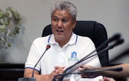 <p>DND spokesperson Arsenio Andolong. <em>(File photo)</em></p>