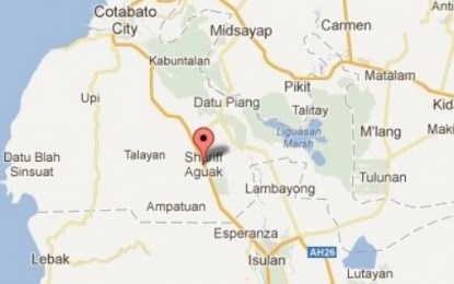 Army hunts down DI extremists in Maguindanao Sur grenade attack