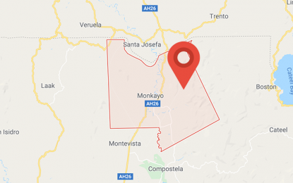 <p>Google map of Monkayo town in Compostela Valley province.</p>