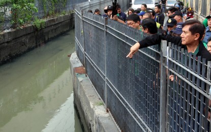 <p>The Department of Environment and Natural Resources and barangays will hold a simultaneous cleanup of <em>esteros</em> and waterways in Metro Manila on March 31, 2019. <em>(PNA file photo)</em></p>