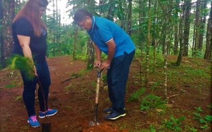<p>Baguio-based reporters join the tree planting activity, which is done by the local media during special events, including the commemoration of those who died during the 1990 killer earthquake. <em>(PNA file photo)</em></p>