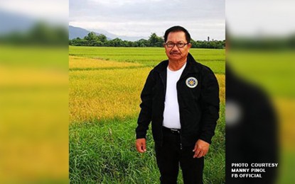 <p><strong>RICE TEAM.</strong> Former Agriculture Secretary Emmanuel Piñol bares Monday (Jan. 30, 2023) he will lead a team of Filipino experts for the rice self-sufficiency program of Papua New Guinea this year. Piñol said helping him in the project is Danilo Arcales Bolos of Tagpos Sta. Rosa, Nueva Ecija, a former overseas Filipino worker, holds the record for the highest rice yield at 17 metric tons per hectare<em>. (PNA file photo)</em></p>
