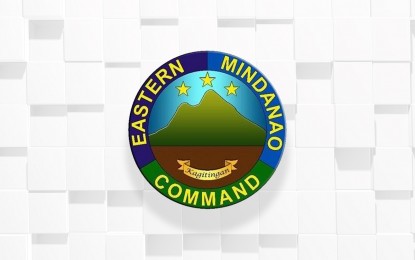 2 NPA rebels nabbed in Davao Oriental: Eastmincom
