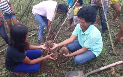<p><strong>EMPOWERED 'UBI' WOMAN.</strong> Concordia "Nang Cita" Alcomendra, of Barangay Langtad, Sagbayan, Bohol, is among the women farmers supported by the Department of Agriculture (DA-7) and the Municipal Agriculture Office (MAO) in cultivating her <em>ubi kinampay</em> techno-demo farm. Here, she shows her produce to her fellow woman farmer. <em>(Photo contributed by Cheryl dela Victoria of Department of Agriculture-7)</em></p>