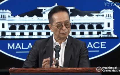 <p>Presidential Spokesman Salvador Panelo</p>