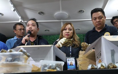 <p><strong>TORTOISE SMUGGLING.</strong> Bureau of Customs - NAIA District Collector Carmelita Talusan (center) presents to the media the 1,500 baby tortoises, worth PHP4.5 million, seized at the Ninoy Aquino International Airport on Sunday (March 3, 2019). The tortoises, each wrapped in duct tape, were stuffed inside four boxes reportedly left behind by a passenger from Hong Kong. The Philippines is stepping up its campaign against illegal wildlife trade. <em>(PNA photo by Avito C. Dalan)</em></p>