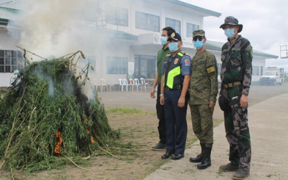 <p><strong>ANTI-CANNABIS OPERATIONS.</strong> Col. Noel Baluyan, chief of Task Group Cebu, Cebu Provincial Police Office (CPPO) chief Police Colonel Manuel Abrugena, and Philippine Drug Enforcement Agency (PDEA-7) Director Wardley Getalla witness the ceremonial burning of marijuana plants that were confiscated during the joint uprooting operations, held at old Regional Training Center 7, Barangay Gaas, Balamban, Cebu, March 1, 2019. <em>(Photo courtesy of  302nd Infantry Brigade, Philippine Army)</em></p>