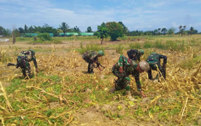<p>Soldiers find empty rifle bullet shells in a site where Bangsamoro Islamic Freedom Fighters launched an attack against them in Barangay Tuka, Mamasapano, Maguindanao. <em><strong>(Photo by 6th ID)</strong></em></p>