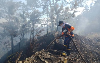 <p>A personnel of the Bureau of Fire Protection helps in fighting the forest fire in Tuba in February. BFP reported that a total of 165 fires have occured in the Cordillera since the start of the year.<em> (Photo courtesy of BFP-Tuba FB)</em></p>