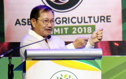 <p>Former Agriculture Secretary and Mindanao Development Authority Chairman Emmanuel Piñol. <em>(File photo)</em></p>