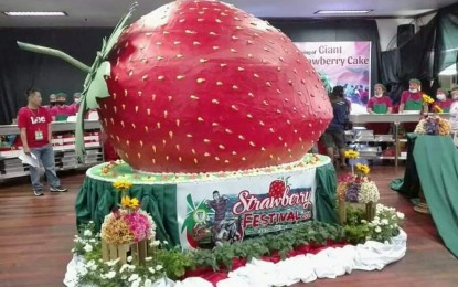 <p>La Trinidad's world-record giant strawberry cake which measures 1.5 meters high by 1.8 meters wide by 2.5 meters long, and weighs 1.6 tons feeds 12,000 people which highlights the 38th strawberry festival of this valley town on Saturday. <em>(Photo by Pamela Mariz Geminiano/PNA)</em></p>