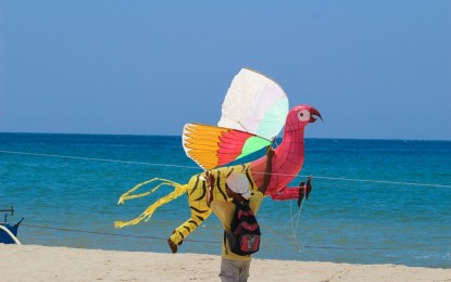 <p>One of the entries in the Tourism Kite Festival of Sipalay City, Negros Occidental. <em>(Photo courtesy of  Sipalay City Tourism Development and Promotions Office)</em></p>