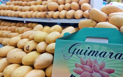 <p><strong>KICKING OFF THE EVENT.</strong> Fresh Guimaras mangoes are on display at the booths in the fountain area of Robinson’s Place, Iloilo City Proper. The province of Guimaras brought 'Patilaw sa Manggahan 2019, one of the starting events of 'Manggahan Festival' 2019, to Iloilo City starting Friday (April 5, 2019). <em>(Photo by Gail Momblan)</em></p>