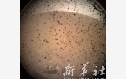 <p>Photo provided by NASA on Nov. 26, 2018 shows the first image taken by NASA's InSight lander on the surface of Mars after its landing. NASA's InSight spacecraft touched down safely on Mars on Monday, kicking off a two-year mission to explore the deep interior of the Red Planet. <em>(Xinhua/NASA/JPL-CALTECH)</em></p>