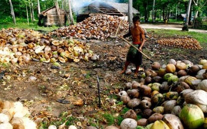 <p><strong>LEAST PRODUCTIVE.</strong> A coconut farmer processes coconuts into copra. Coconut farming is one of the least productive economic activities in Eastern Visayas, according to the Philippine Statistics Authority. The sector, which downscaled by 0.5 percent in 2018 from 0.1 percent growth in 2017, contributes 14 percent to the regional economy. <em>(Photo from FB page of Agriculture Secretary </em><a class="_hli" href="https://web.facebook.com/MannyPi%C3%B1ol-351448724937603/?tn-str=k%2AF" data-ft="{"tn":"k"}" data-hovercard="/ajax/hovercard/page.php?id=351448724937603&extragetparams=%7B%22tn-str%22%3A%22k%2AF%22%7D" data-hovercard-prefer-more-content-show="1"><em>Mann</em>y Piñol</a>)</p>