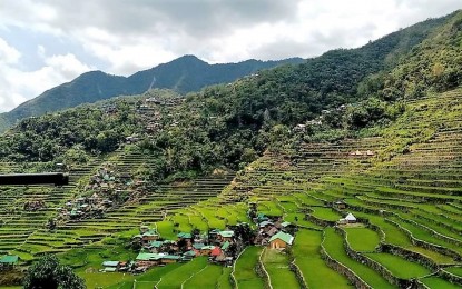 <p>The Battad rice terraces in Banaue, Ifugao <em>(Photo courtesy of Dianne Galao)</em></p>