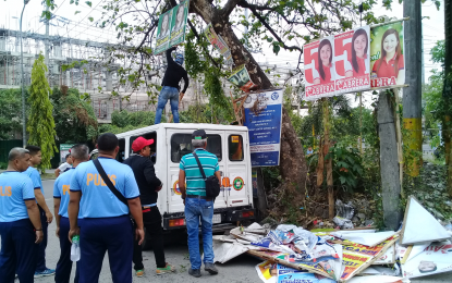 <p>A baklas ops personnel of Calamba City Public Order and Safety Office demolish an illegal campaign material nailed to a tree at an intersection in the Mayapa-Canlubang interchange exit in Calamba City during the Commission on Elections (Comelec)-spearheaded removal of illegal posters and campaign ads on May 7, 2019. <em>(Photo by Saul E. Pa-a)</em></p>