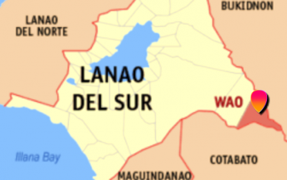<p>Google map of Wao, Lanao del Sur</p>
