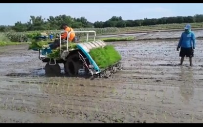 <p><strong>MECHANIZED FARMING.</strong> Farmers in Bayambang town, Pangasinan province began employing mechanized farming methods this cropping season. The planting machines were supplied by the Department of Agriculture and Mayor Cezar Quiambao. <em>(Photo courtesy of Bayambang Municipal Agriculture Office)</em></p>