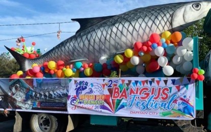 Dapitan City holds 2nd Bangus Festival 