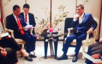 <p><strong>PRRD and JOKO</strong>. The two leaders talked about common issues such as terrorism and trade. <em>(contributed photo)</em></p>