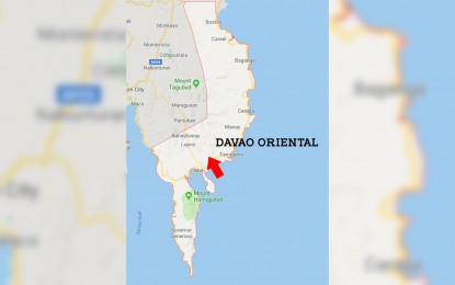 <p>Google map of Davao Oriental.</p>